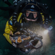 Diver with skull of Arctotherium, a short-faced bear.
